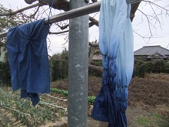 泥藍染めの絞り綿