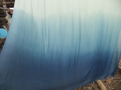 藍染の綿布1