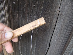 綿弓‐竹に切れ目を入れる