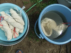 紬糸の椿灰汁媒染