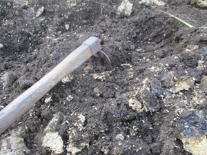 ふかふかの土 ふかふかの土